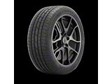 Cooper Cobra Instinct Tire (255/40R19)