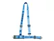 Corbeau 2-Inch 4-Point Bolt-In Harness Belt; Blue (Universal; Some Adaptation May Be Required)