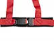 Corbeau 2-Inch 4-Point Bolt-In Harness Belt; Red (Universal; Some Adaptation May Be Required)