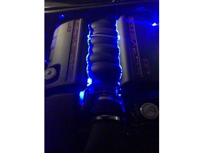 Coil Cover Lighting Kit; Superbright Blue (05-13 Corvette C6)