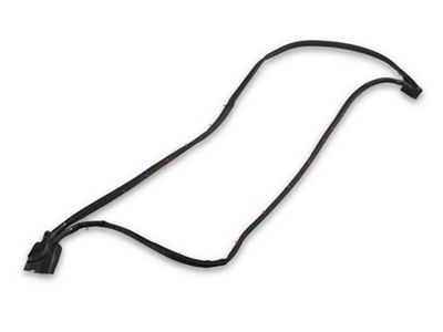 Door Main Weatherstrip; Driver Side (97-04 Corvette C5)