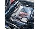 Engine Bay Panel Cover; Exposed; Carbon Fiber (20-24 Corvette C8 Convertible)