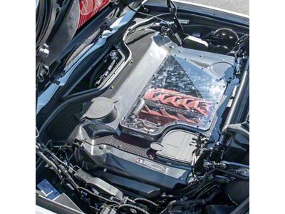 Engine Bay Panel Cover; Exposed; Carbon Fiber (20-24 Corvette C8 Convertible)