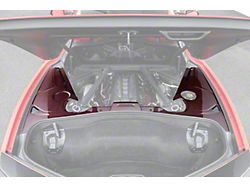 Engine Bay Panel Cover; Red Carbon Fiber (20-25 Corvette C8 Coupe)