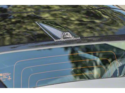 Factory Style Decklid Camera Housing Panel; Carbon Fiber (20-24 Corvette C8 Convertible)