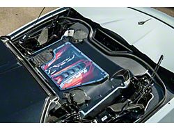 Factory Style Engine Bay Panel Cover; Carbon Fiber and Clear (24-26 Corvette C8 E-Ray Convertible)