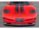 Front License Plate Trim Cover; Carbon Fiber (97-04 Corvette C5)