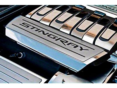 Fuel Rail Covers with Stingray Logo; Black Carbon Fiber Inlay (14-19 Corvette C7)