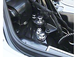 Hinge Dress-up Bolt and Nut Kit; Stainless (20-26 Corvette C8 Convertible)