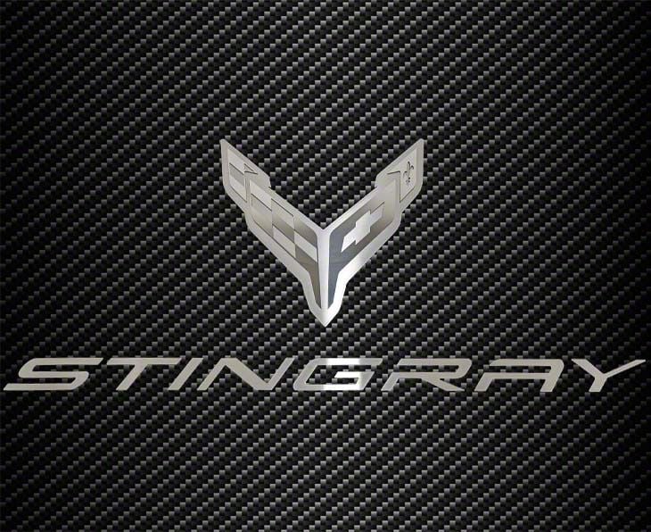 CORVETTE DRIVING GLOVE（Mサイズ) Driving Gloves Black | Eckler's Corvette
