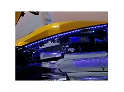 Illuminated Fender Caps; Polished; Blue LED (05-13 Corvette C6)