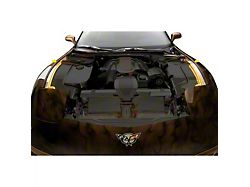 Inner Fender Liners with Yellow LED Top Caps; Polished Stainless Steel (97-04 Corvette C5)