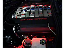 LED Fuel Rail Lighting Kit; Blue (14-19 Corvette C7 Stingray)