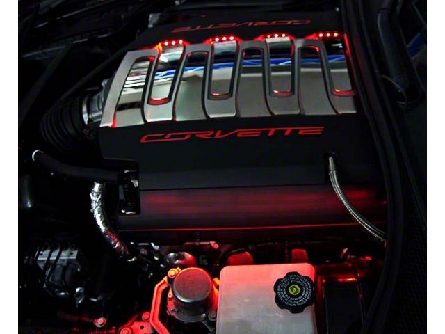 LED Fuel Rail Lighting Kit; Green (14-19 Corvette C7 Stingray)