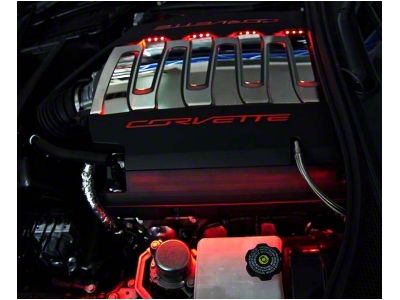 LED Fuel Rail Lighting Kit; Red (14-19 Corvette C7 Stingray)