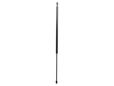 Liftgate Support Struts (97-04 Corvette C5 Coupe)