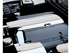 Low Profile Plenum Cover; Polished Stainless Steel (97-04 Corvette C5)
