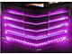 RGB Fender Cove/Hood Vent LED Lighting Kit; Bluetooth (14-19 Corvette C7)