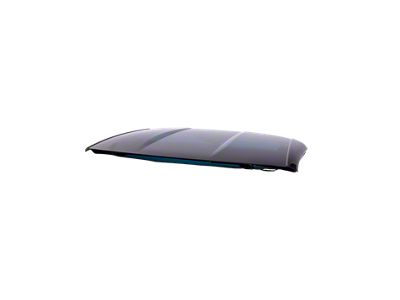 Transparent Roof Panel; Cloth Trim (20-24 Corvette C8 Coupe)