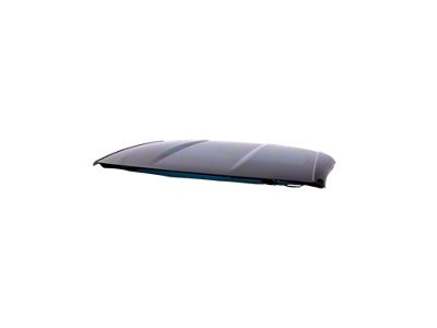 Transparent Roof Panel; Suede Trim (20-25 Corvette C8 Coupe)