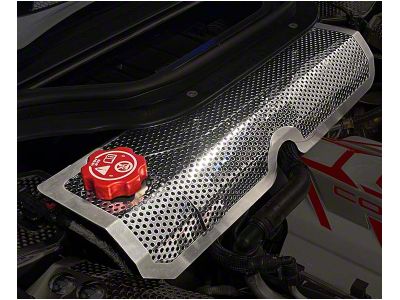 Water Tank Cover with Cap; Perforated; Stainless (20-24 Corvette C8 Convertible)