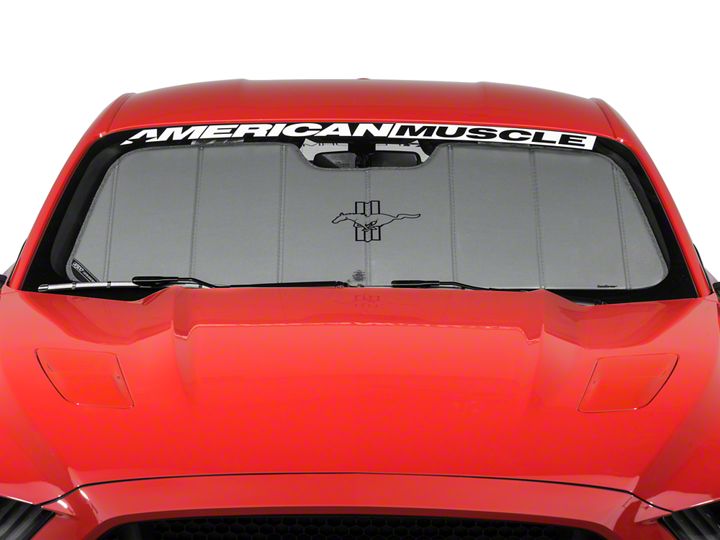 American Muscle