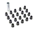 Black 6-Spline Nut Kit; 14mm x 1.5; Set of 20 (06-23 Charger)
