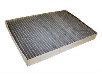 Cabin Air Filter (06-10 Charger)