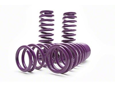 D2 Racing Pro Series Lowering Springs (08-23 RWD Challenger w/o Nivomat, Excluding SRT Hellcat)