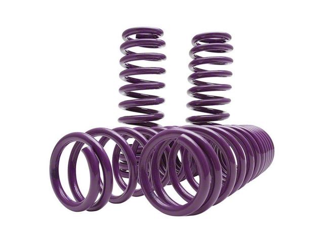 D2 Racing Pro Series Lowering Springs (11-23 RWD Charger w/o Nivomat, Excluding SRT Hellcat)