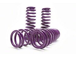 D2 Racing Pro Series Lowering Springs (15-17 Mustang GT350; 18-25 Mustang w/ MagneRide)