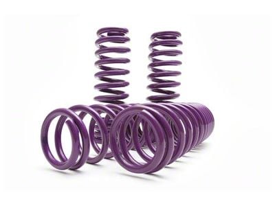 D2 Racing Pro Series Lowering Springs (15-17 Mustang GT350; 18-25 Mustang w/ MagneRide)