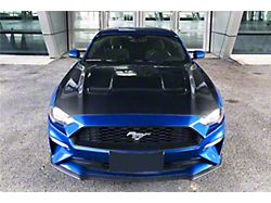 Darwin Pro Aero Hood; Carbon Fiber (18-23 Mustang GT, EcoBoost)