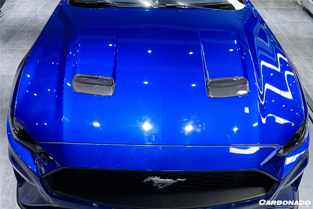 Darwin Pro Aero Hood Vents; Carbon Fiber (18-23 Mustang GT, EcoBoost)