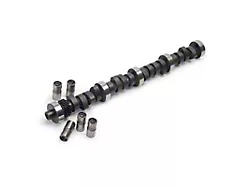 Edelbrock Performer RPM 234/244 Hydraulic Roller Camshaft and Lifter Kit (1995 Mustang Cobra R)