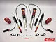 Eibach Multi-Pro-R2 Coil-Over Kit with Rear Shocks (06-10 RWD Charger)