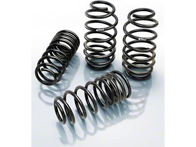 Eibach Pro-Kit Performance Lowering Springs (06-10 RWD Charger V6; 06-10 RWD Charger R/T)
