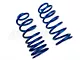 Eibach Drag-Launch Springs (79-04 V8 Mustang Coupe, Excluding 99-04 Cobra)