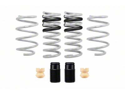 Eibach Drag-Launch Springs (15-25 Mustang GT w/o MagneRide)