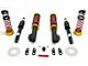 Eibach Pro-Street Coilover Kit (79-04 All, Excluding 99-04 Cobra)