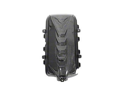 Fabspeed Motorsport Center Engine Cover; Carbon Fiber (20-25 Corvette C8, Excluding Z06)