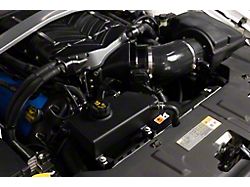 Fathouse Performance Coolant Tank; Black (11-14 Mustang)