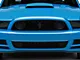 Ford BOSS 302 Grille without Emblem; Unpainted (13-14 Mustang GT; 2013 Mustang BOSS 302)