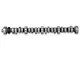 Ford Performance E303 Performance Camshaft (85-95 5.0L Mustang)