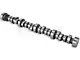 Ford Performance E303 Performance Camshaft (85-95 5.0L Mustang)