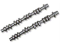 Ford Performance Hot Rod Performance Camshafts (05-10 Mustang GT)