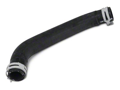 Ford Lower Radiator Hose (15-20 Mustang GT350R)