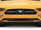Ford Bullitt Lower Grille (18-23 Mustang GT, EcoBoost)