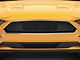 Ford Bullitt Upper Grille (18-23 Mustang GT, EcoBoost)
