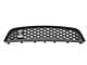 Ford GT500 Upper Grille (10-12 Mustang GT500)